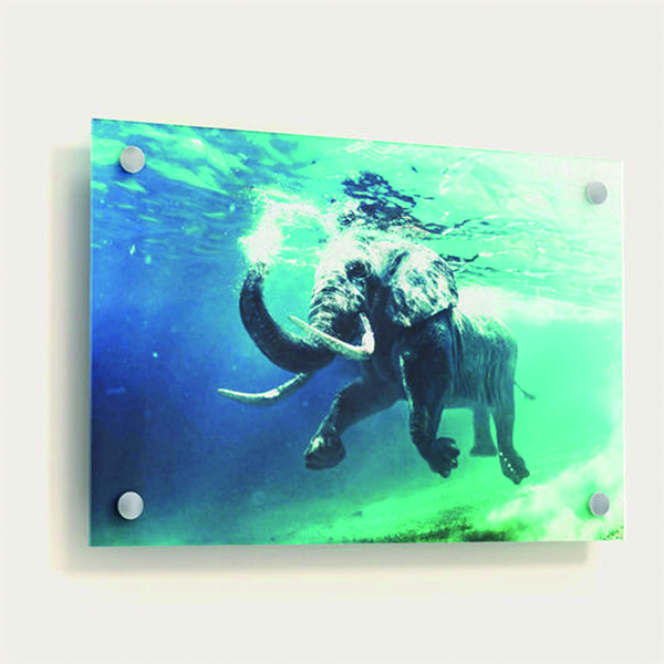 PlexiVinyl (1)